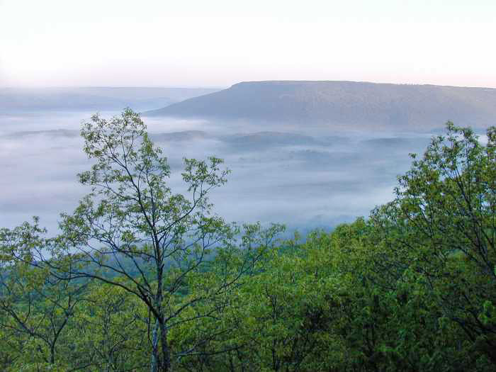  Potentially be located on Lookout Mountain (Image courtesy Georgia USA)