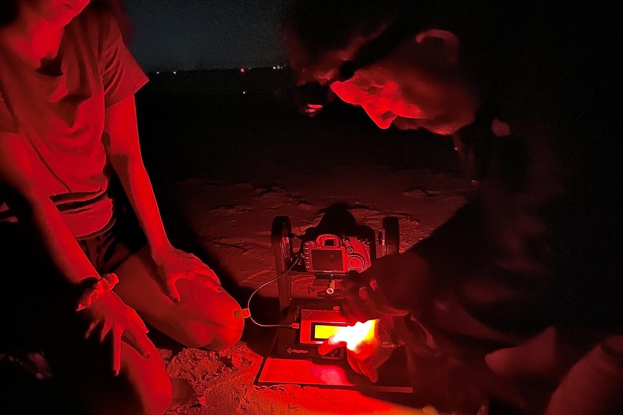 Savannah State University marine science professor Chris Hintz mounts a camera low to the ground on Jekyll Island's Driftwood Beach, while graduate student Emma Patterson watches. They use red-light flashlights to navigate, as sea turtles cannot see that color as well as others.