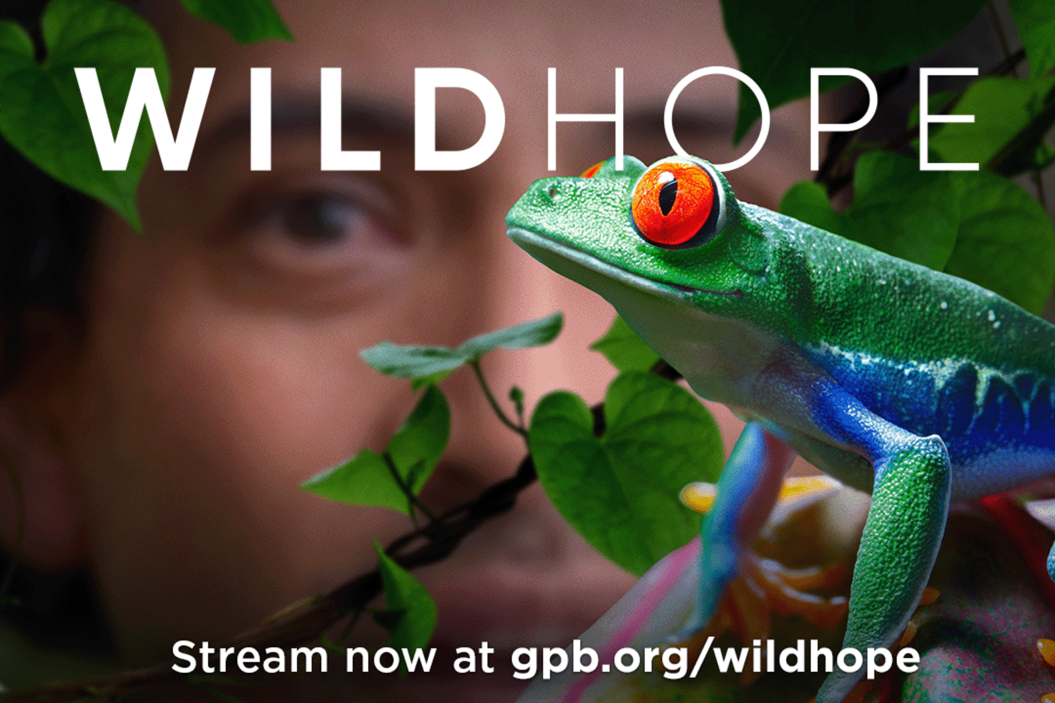 Wild Hope with tree frog