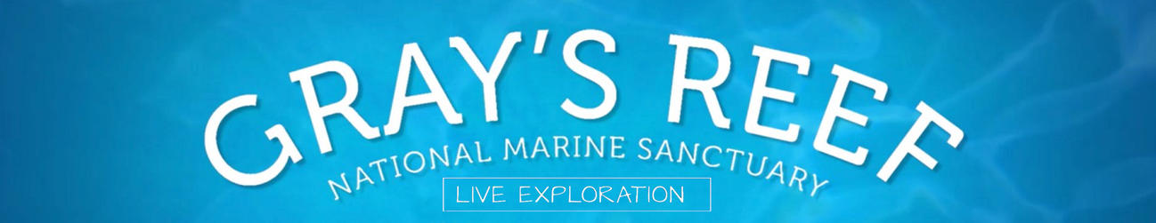 Live Exploration: Gray's Reef