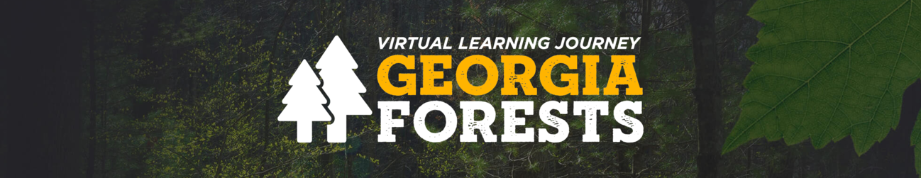 Georgia Forests Banner