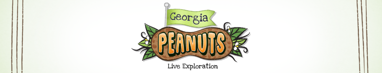 Peanuts banner