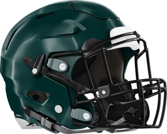 Terrell County Greenwave Helmet