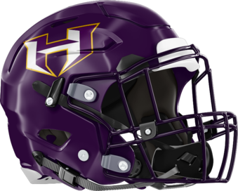 Hampton Hornets Helmet