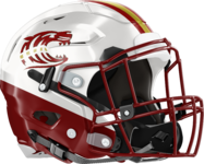 Dawson County Tigers Helmet Right