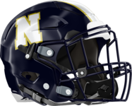 Newnan Cougars Helmet