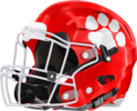 Calhoun County Cougars Helmet