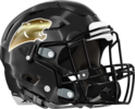 Liberty County Panthers Helmet Right