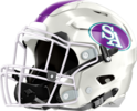 South Atlanta Hornets Helmet Left