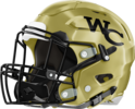 Washington County Golden Hawks Helmet Left