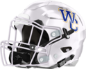 Wilcox County Patriots Helmet Left