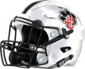 Jackson County Panthers Helmet