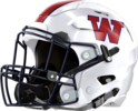 Woodland, Cartersville Wildcats Helmet