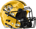 Alcovy Tigers Helmet