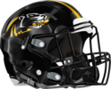 Chattahoochee County Panthers Helmet