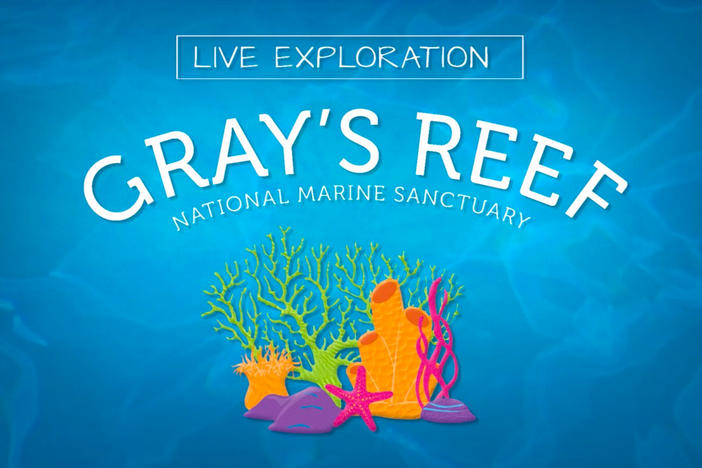 Live Exploration: Gray's Reef thumbnail