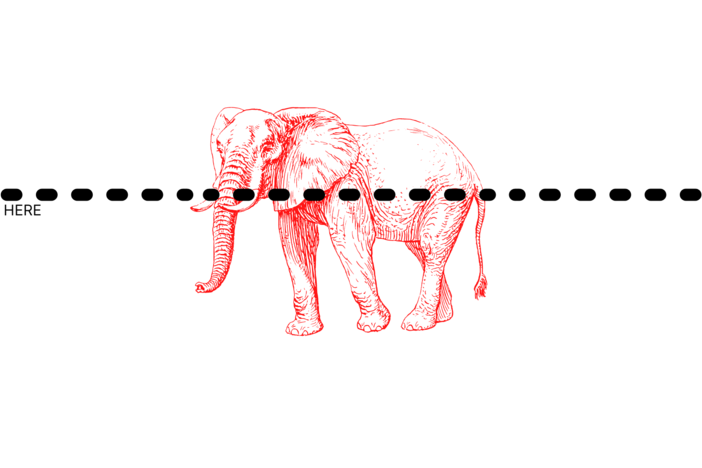 A dot line across an illustration of a elephant. Small letters read "cut here" nearby.