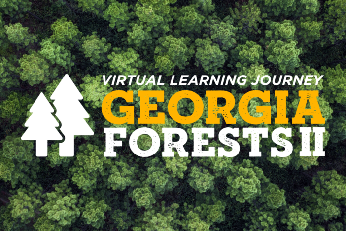 Georgia Forests II logo