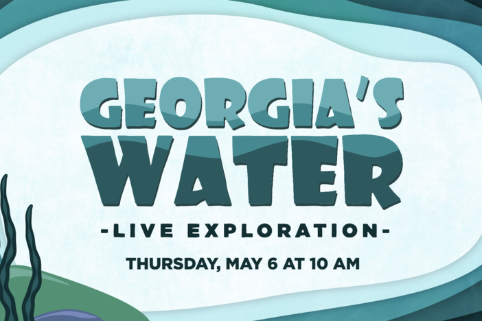 Georgia's Water logo