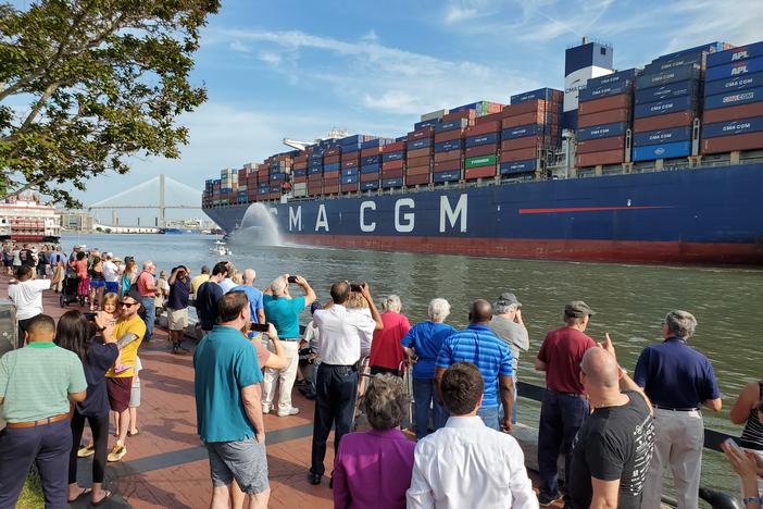 A huge container ship passes as a crowd of people watch from the shore