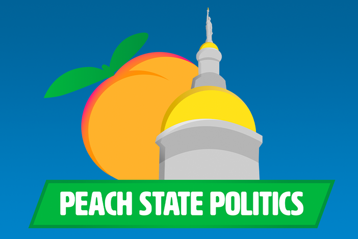 Peach State Politics