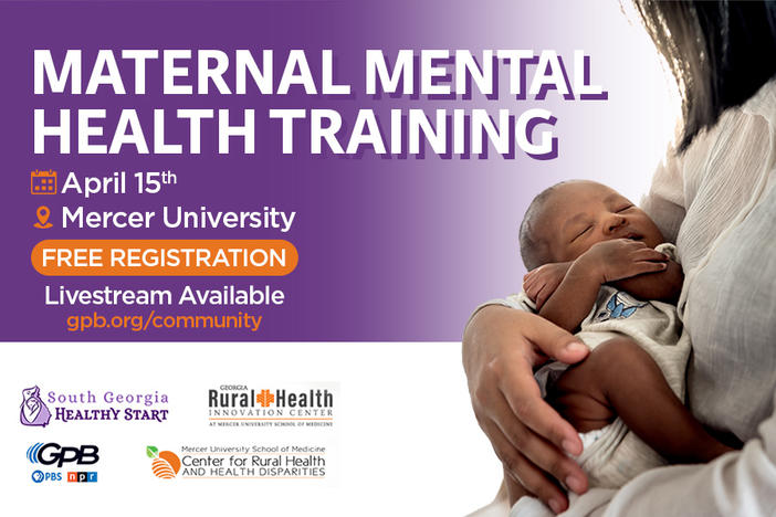 maternal mental health training