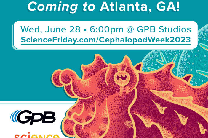 Cephalopod Week with squid
