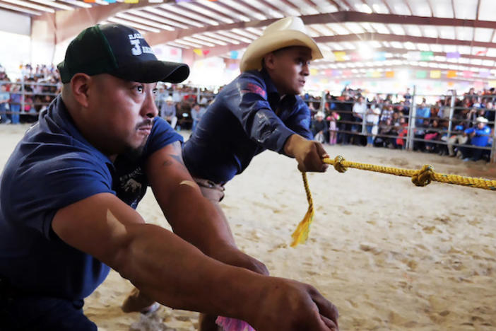 Two men pulling a rope at a rodeo.