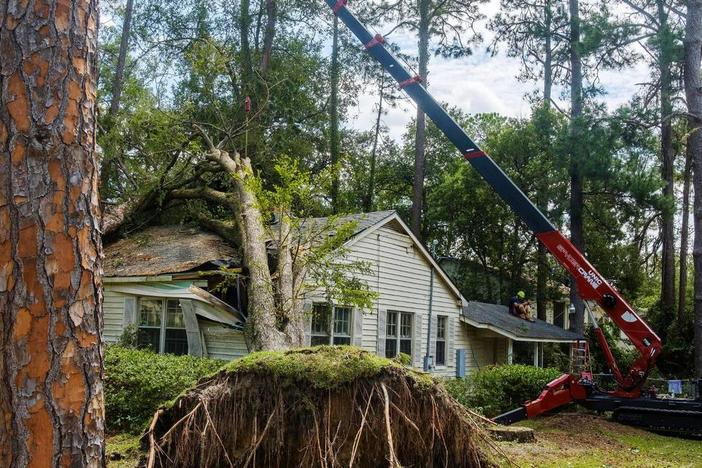 Scores of homes near the core of the South Georgia city of Valdosta were damaged by large trees felled by hurricane Idalia. Grant Blankenship / GPB News