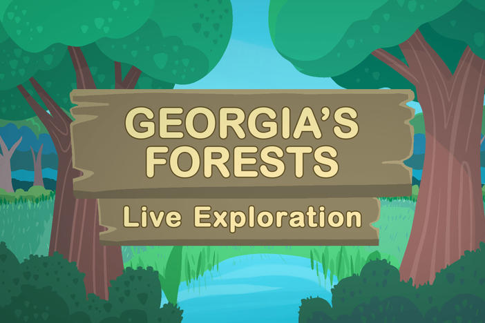 georgia's forests