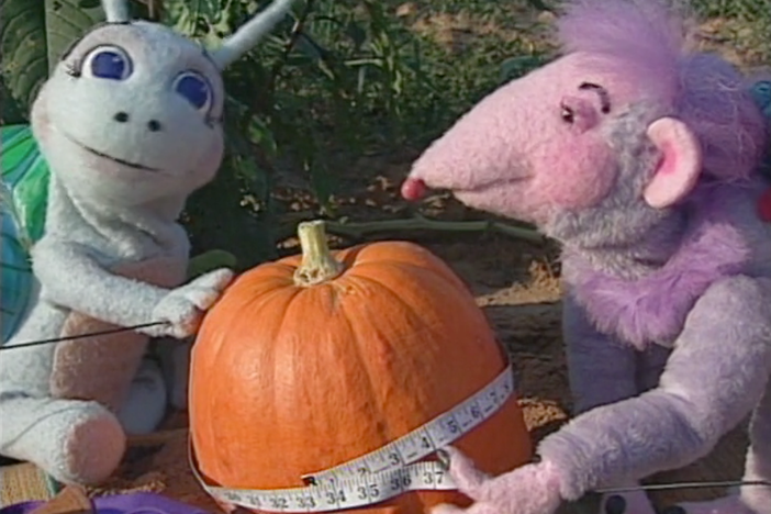 Blossom and Snappy eat popcorn and try to find out who has more. 