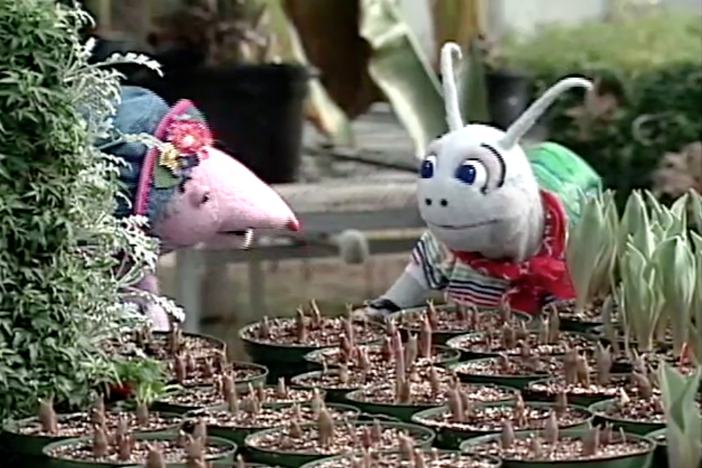 Blossom and Snappy decide to plant a garden. 