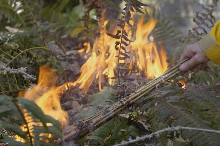 For Native tribes like the Yurok, bringing fire back to the land is essential to life.