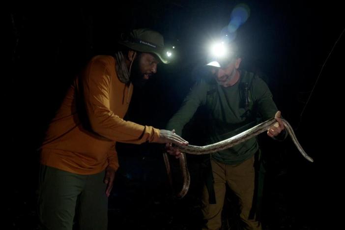 Baratunde goes night herping with biologist Mario Aldecoa along the Suwannee River.