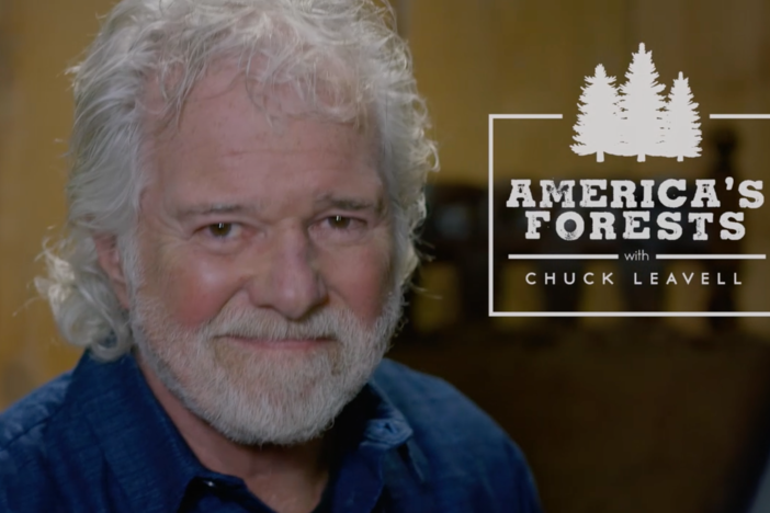 Rolling Stones keyboardist Chuck Leavell hosts a new series about sustainable forestry.