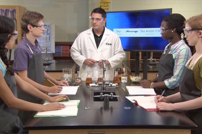 The students explain their examples of real world chemical equilibrium.