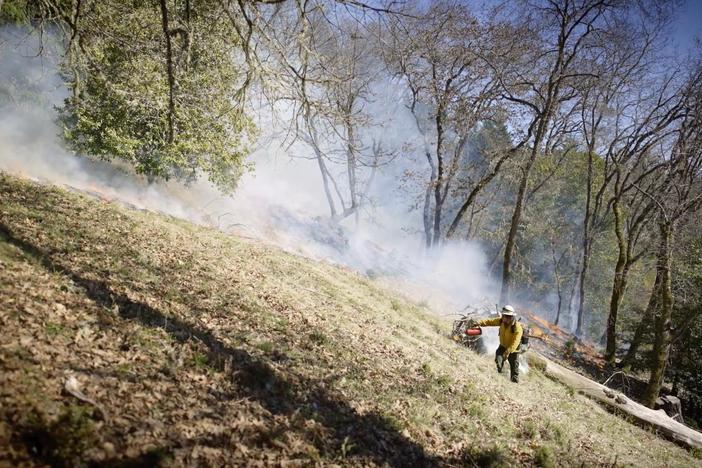 For Native tribes, controlled burns were banned by the government but is now being put to practice.