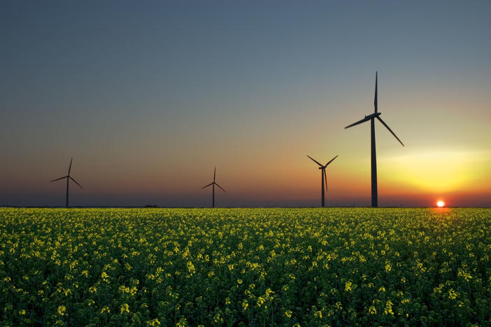 Wind, solar, and hydroelectricity are three emerging renewable sources of energy.