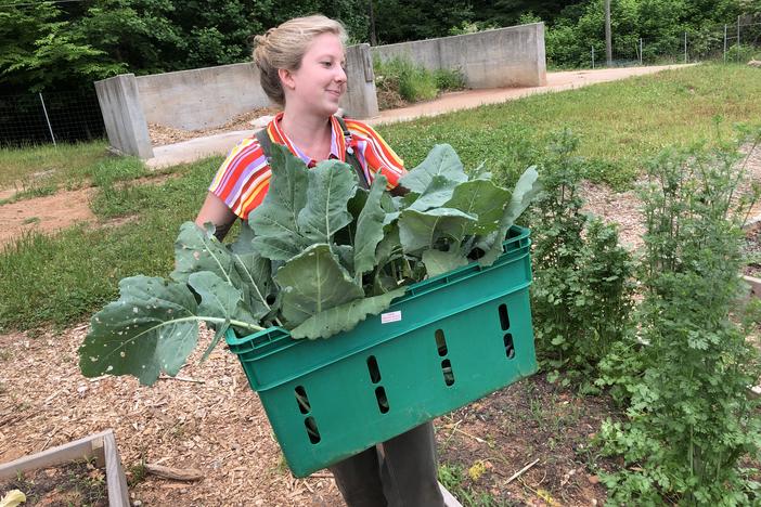 UGA student Lily Dabbs carries fresh produce from the farm to be washed.