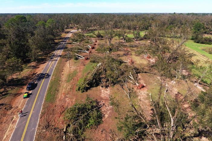 An aerial photo of the Pine Knoll Pecan Plantation after Hurricane Michael hit.