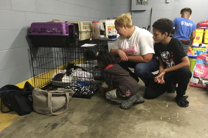 Sophia Ussery and her children visit their American Ragdoll cat at the pet evacuation center in Macon