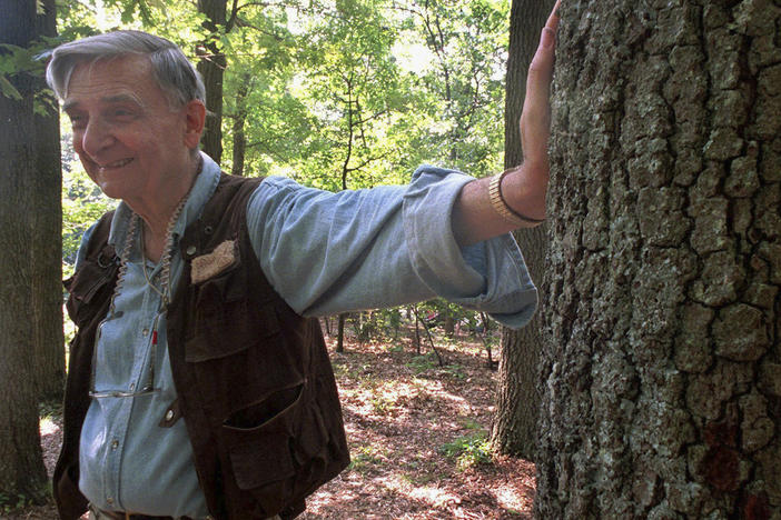 Harvard University professor and Pulitzer Prize winner Edward O. Wilson takes a break from searching for insects in the Walden Pond State Reservation in Concord, Mass., in 1998. Wilson died on Sunday at the age of 92.