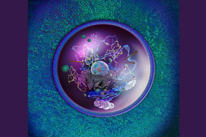 The inside of a cell is a complicated orchestration of interactions between molecules.