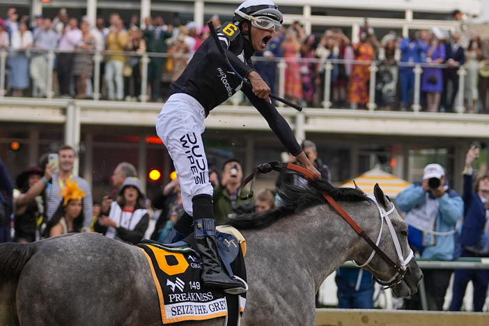 Jaime Torres, atop Seize The Grey, reacts after crossing the finish line to win the Preakness Stakes horse race at Pimlico Race Course on Saturday in Baltimore.
