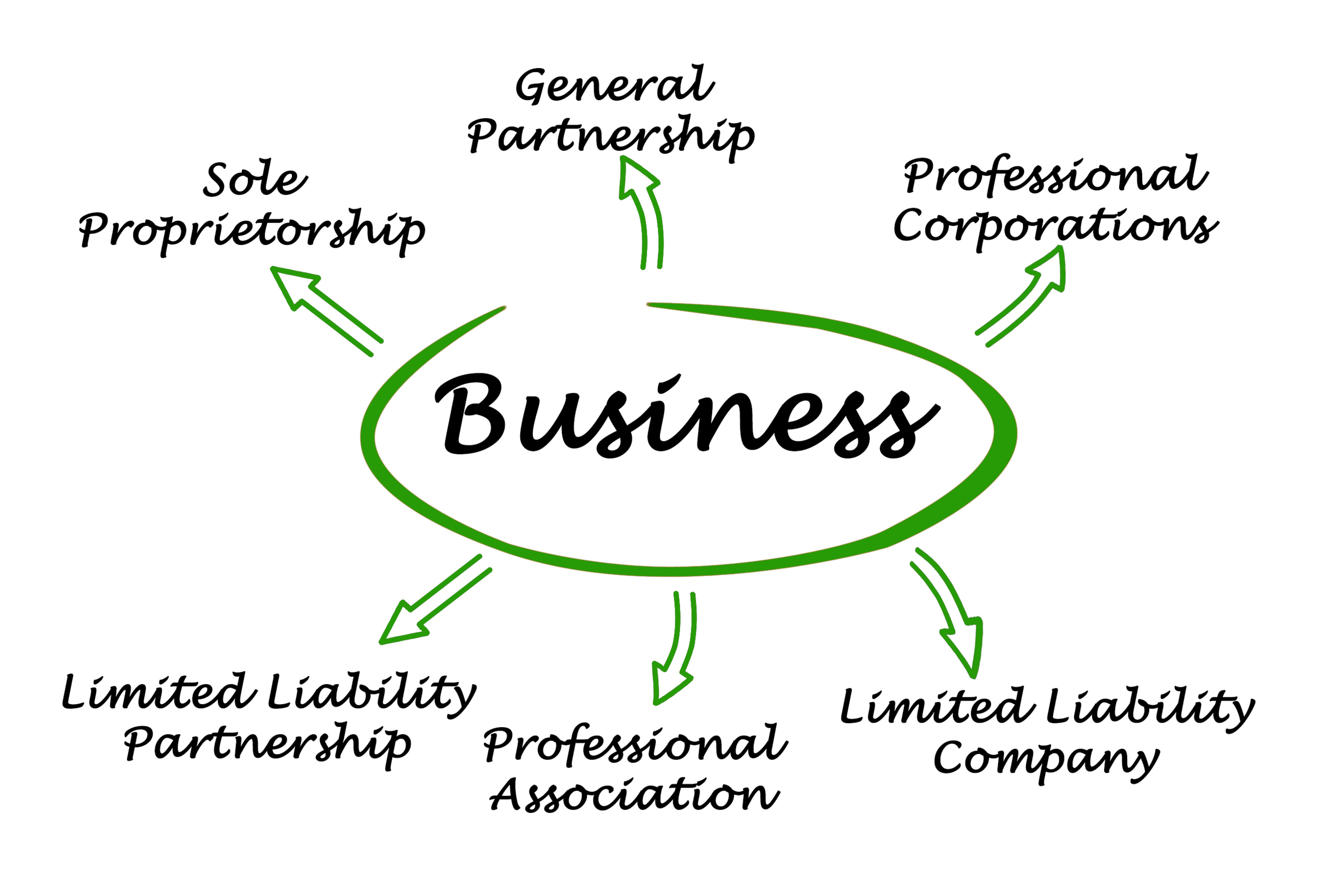 Illustration of Business Organizations