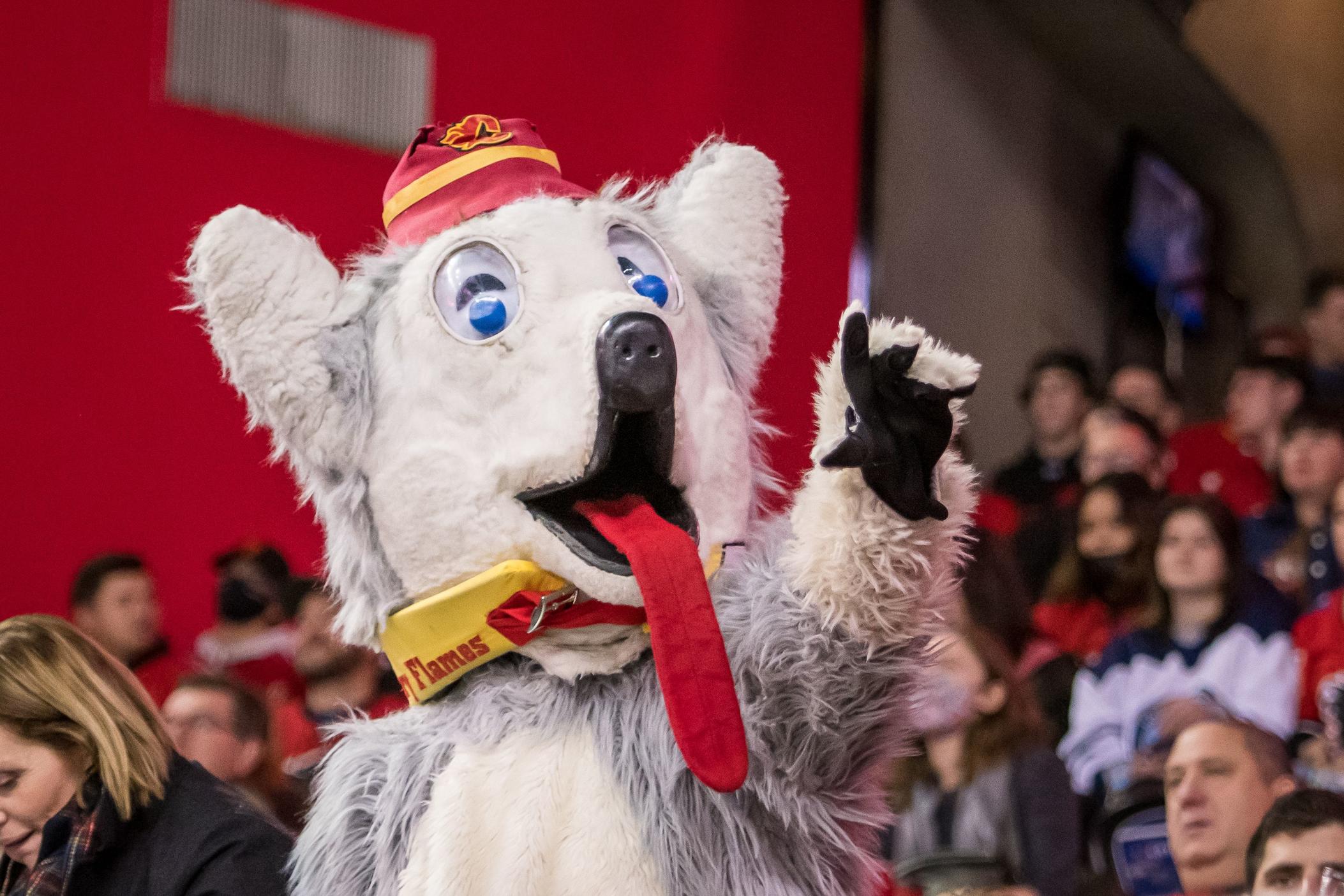 Glenn Street as "Harvey the Hound", the first mascot in the NHL.