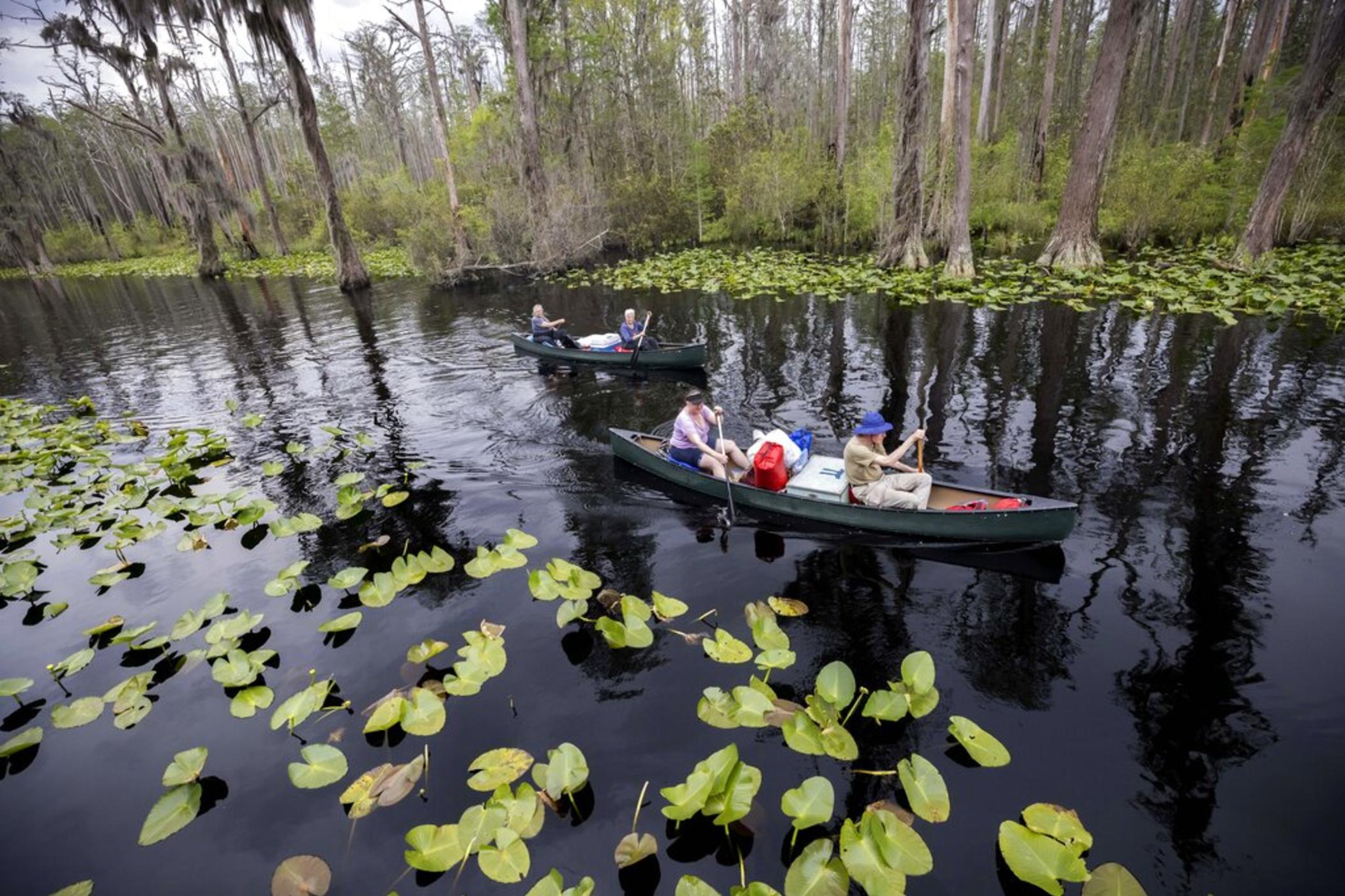 A group of visitors return to Stephen C. Foster State Park after an overnight camping trip on the Red Trail in the Okefenokee National Wildlife Refuge, April 6, 2022, in Fargo, Ga. Conservation groups filed suit Tuesday, Nov. 15, against a U.S. government agency challenging its decision to allow a mining project to move forward without federal permits near the edge of the Okefenokee Swamp's vast wildlife refuge.