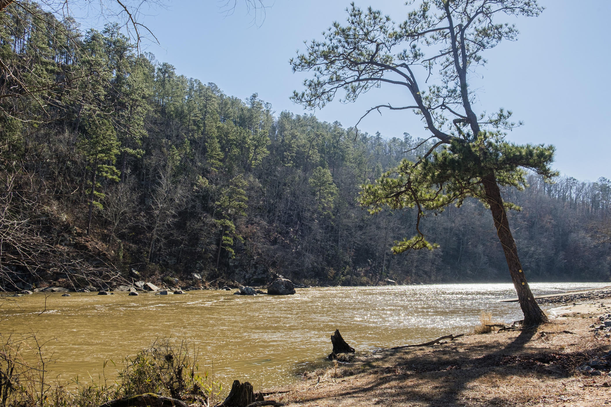The Flint River at Sprewell Bluff, swollen by winter rain. 