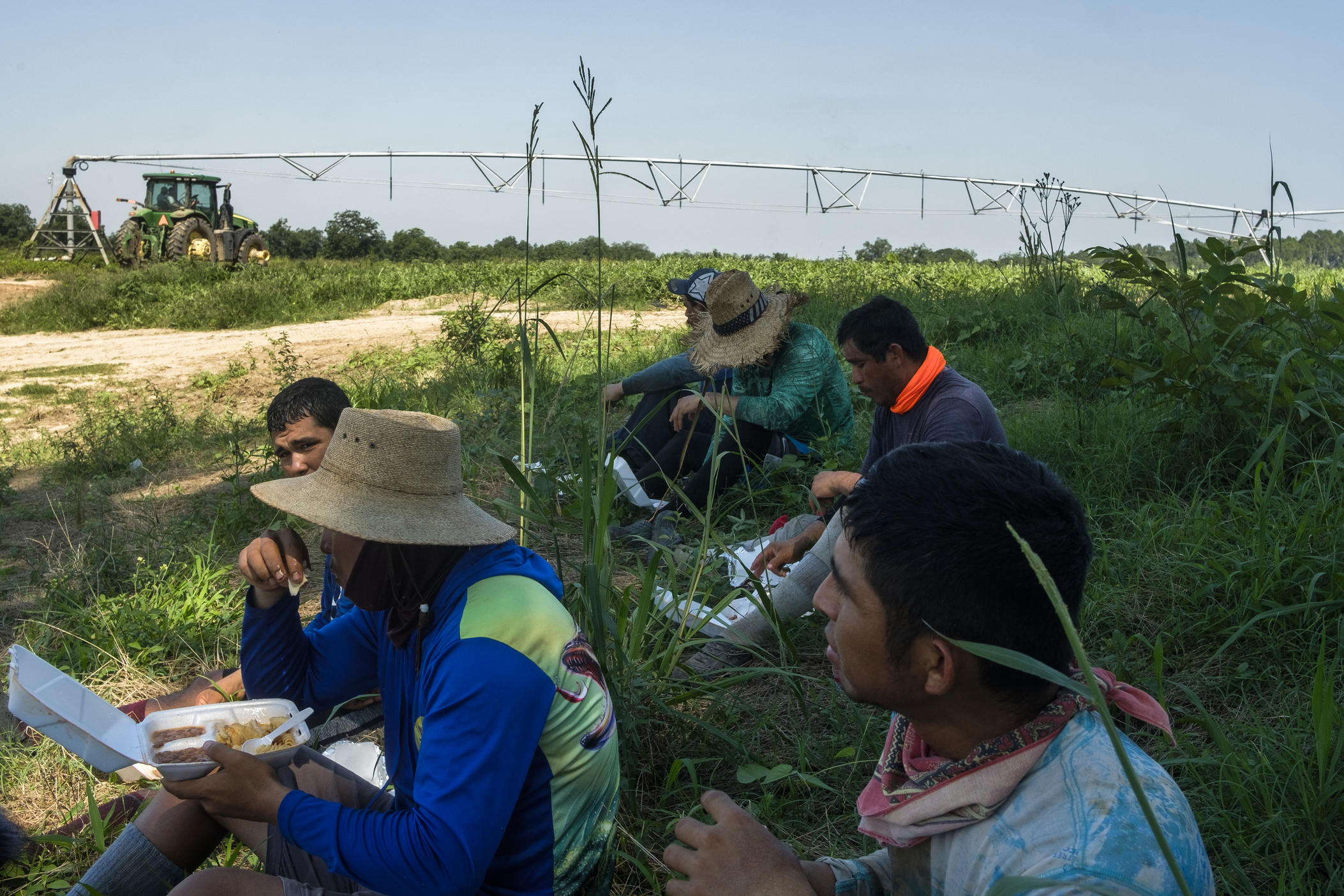 While a crew of watermelon pickers in Pitts, Ga. eats their lunch under the shade of a pecan tree while their crew leaders watch from the air conditioned cab of a tractor, background.