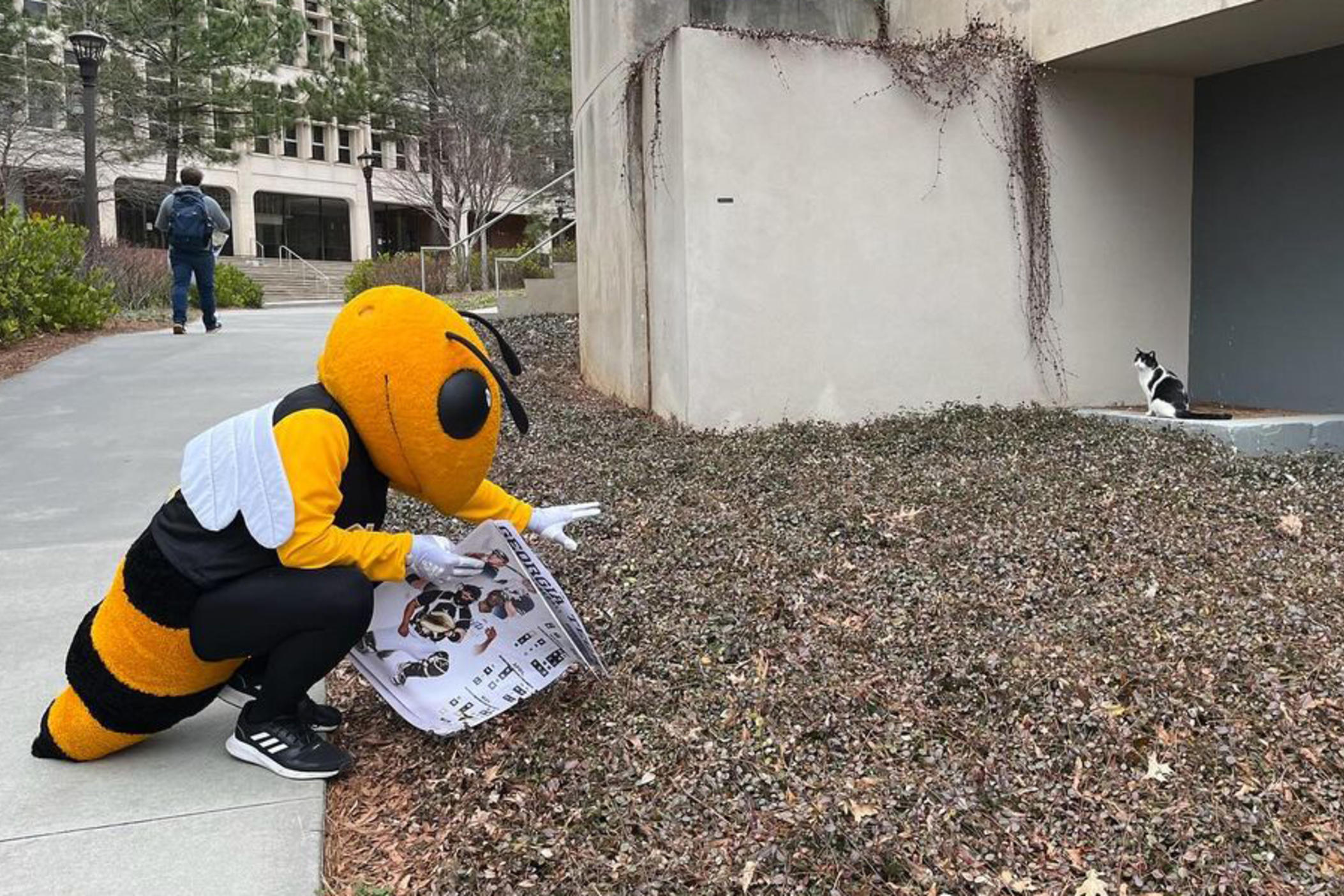 Georgia Tech mascot Buzz intereacts with momo one of the many cats taken care of by the Campus Cats organization.